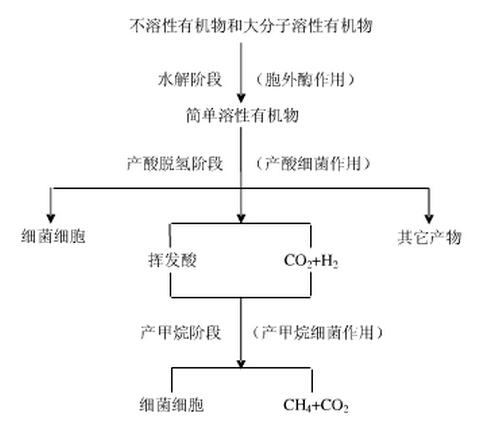 厌氧生物处理法